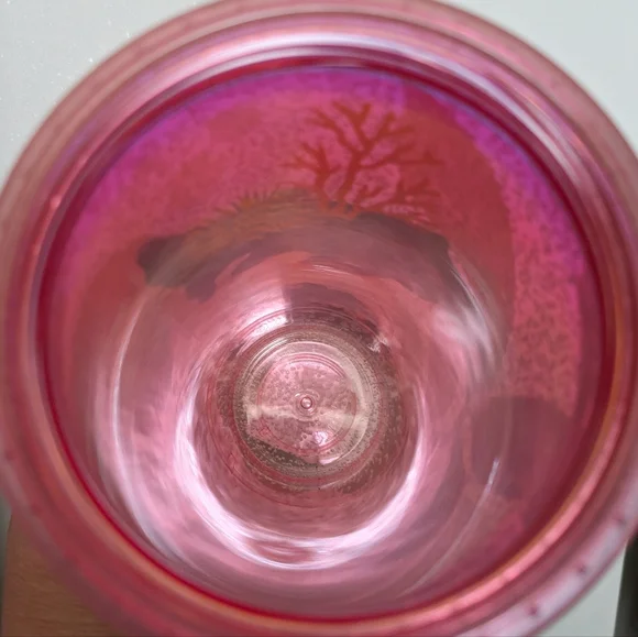 NWT Starbucks Coral Reef Bubble 2021 Edition Venti Cup Tumbler Collectible - Picture 10 of 12